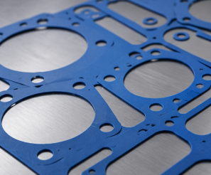 Die-Cut Fluorosilicone Gasket forms